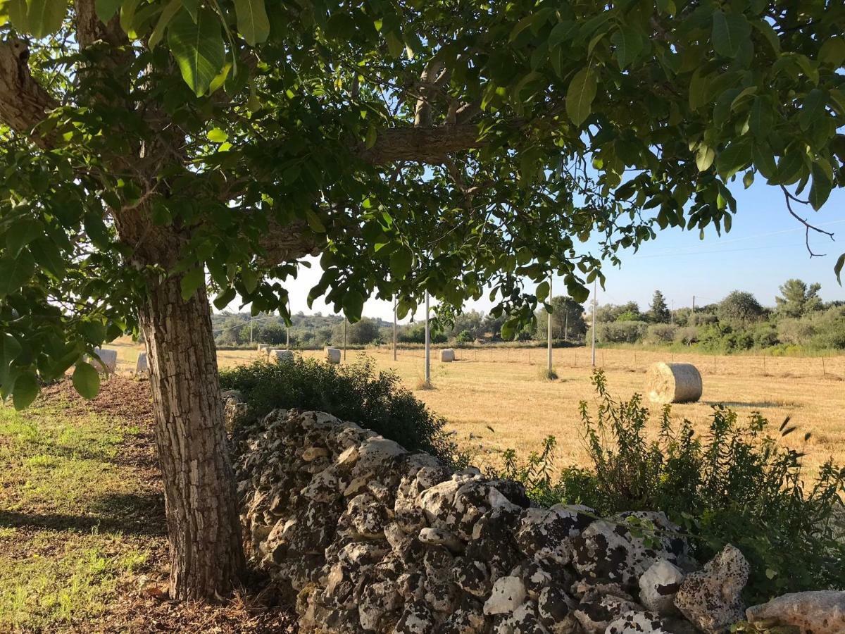 Casa Farfaglia Guest House Noto Bagian luar foto